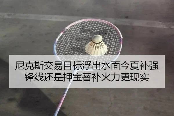 尼克斯交易目标浮出水面今夏补强锋线还是押宝替补火力更现实